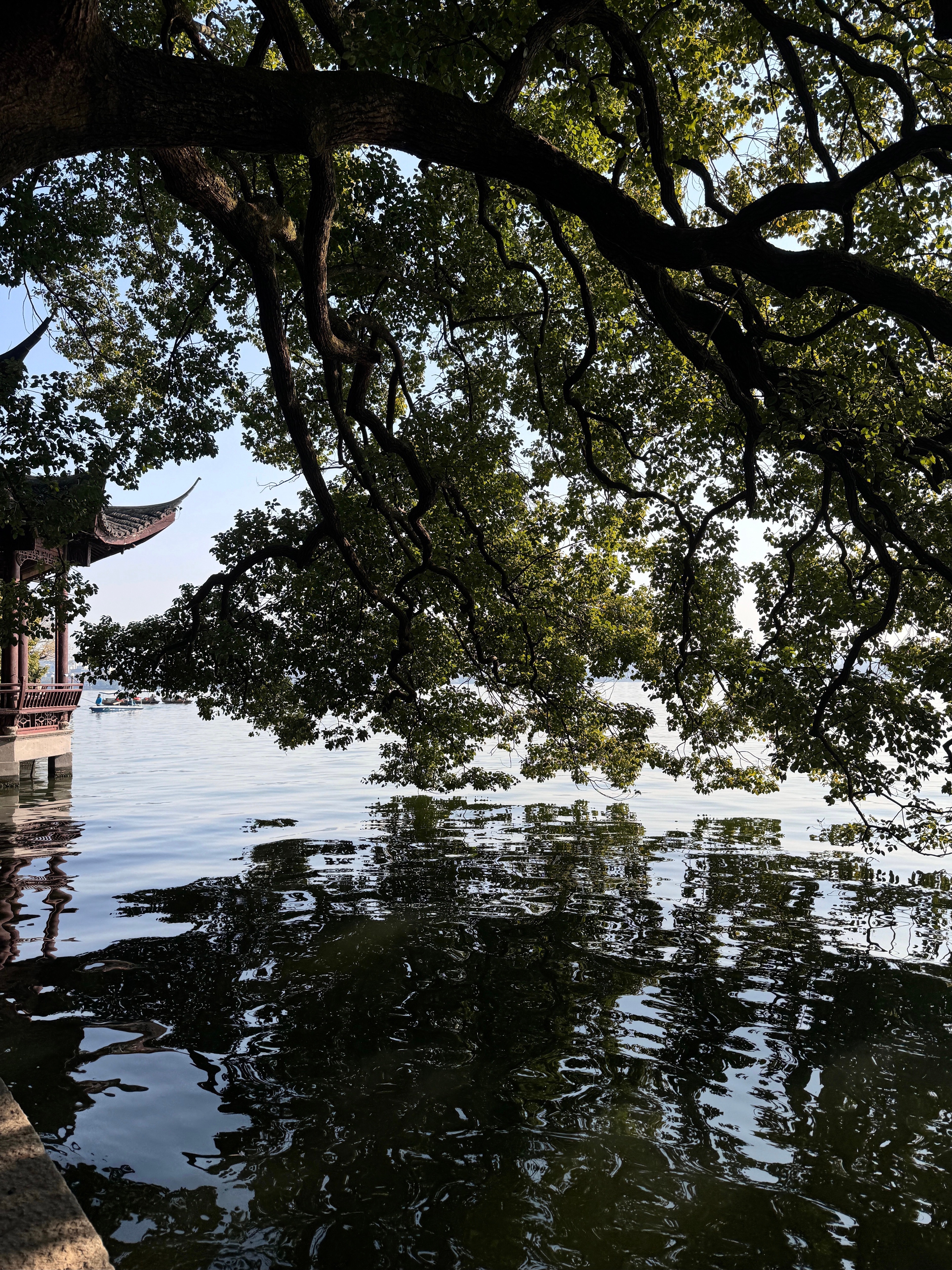 不知道大家有没有发现很多亲密关系的问题，本质不是现在发生了什么，而是旧伤在现任身