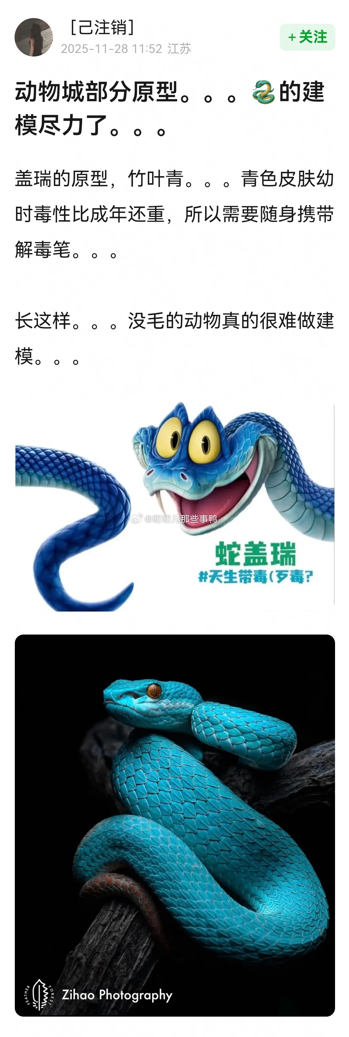 疯狂动物城2 动物城部分原型~