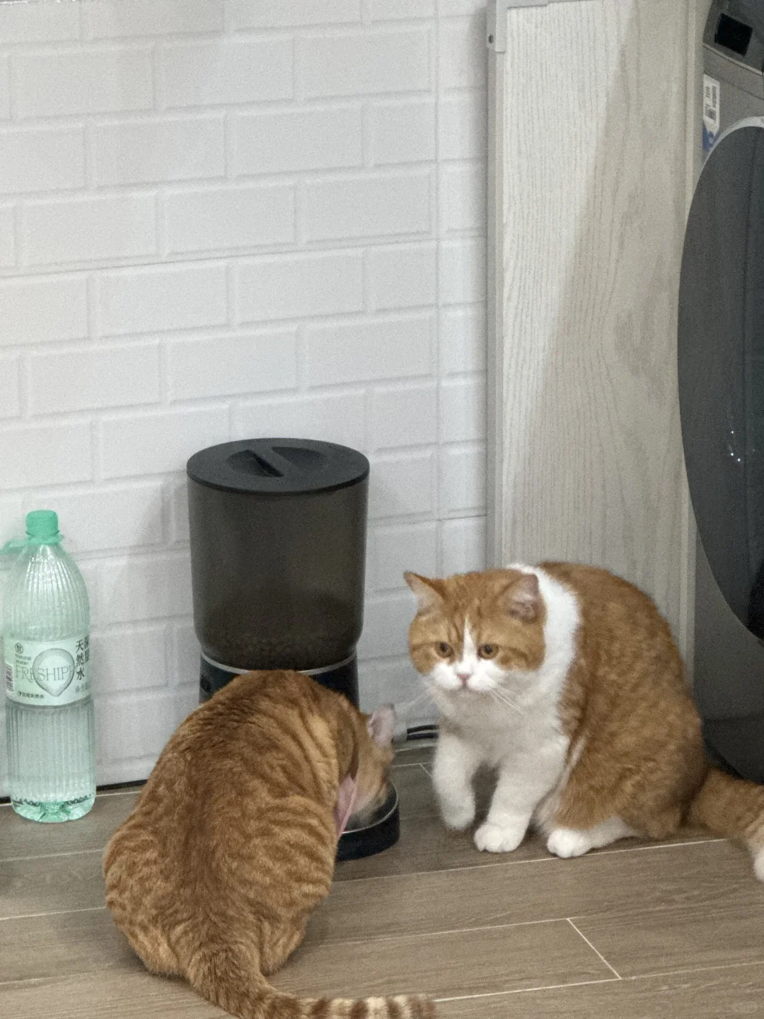 妈妈你看他啊！