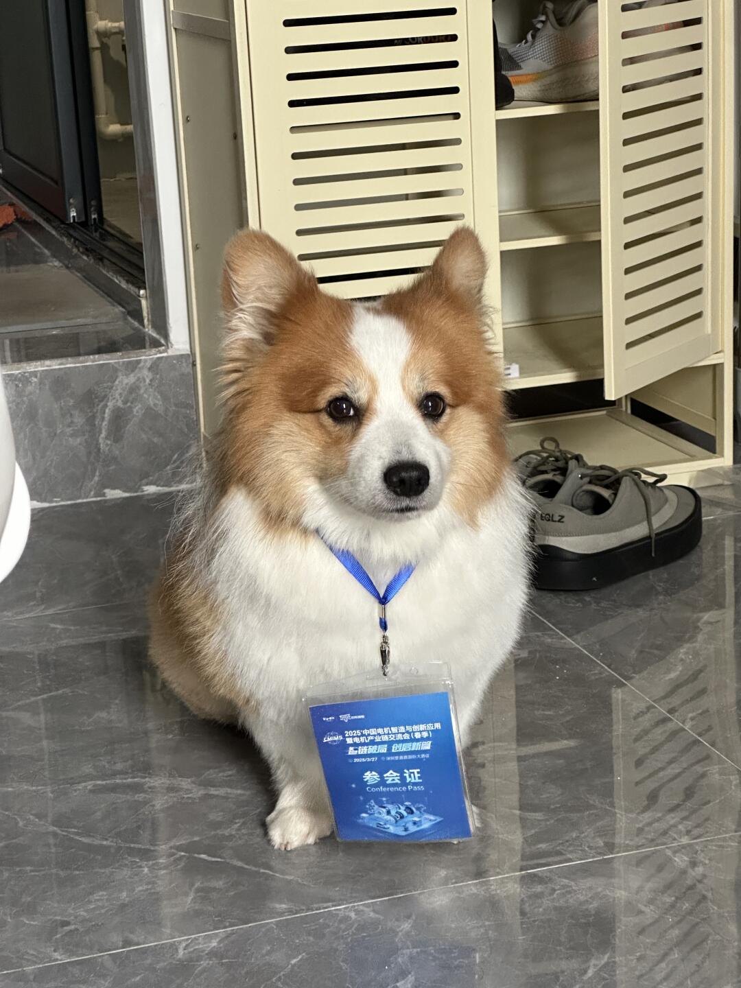 不知道哇，我妈让我去参展我就去了
