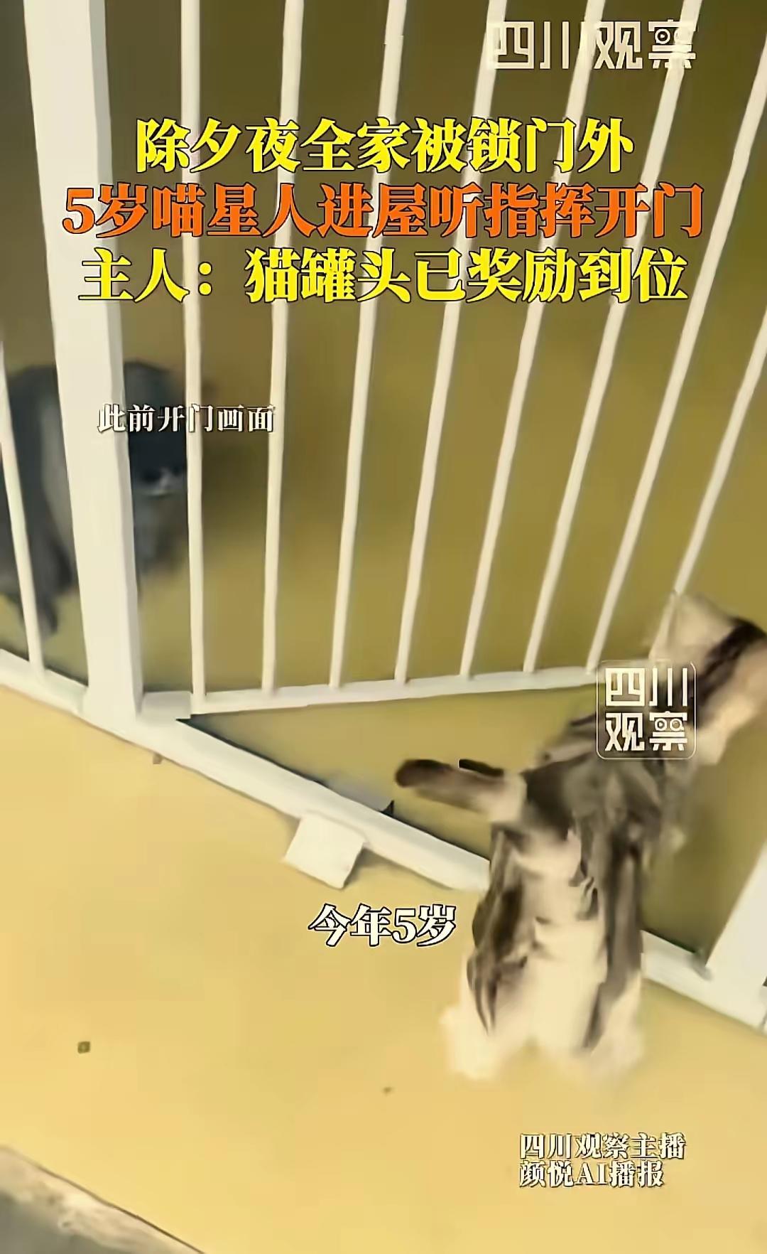 这则温馨又有趣的故事真是令人感动又开心！在除夕夜一家人因为忘带钥匙而一筹莫展的时