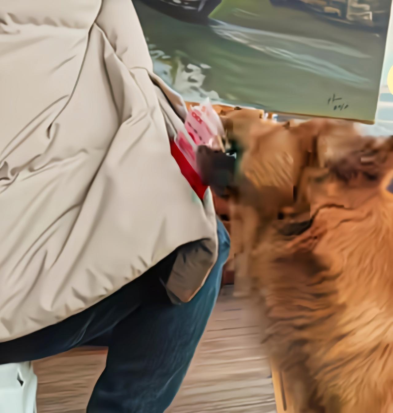 拿狗叼人民币拍视频，得多少狗口水，多脏啊。无形中会不会传播疾病？
如果是用的道具