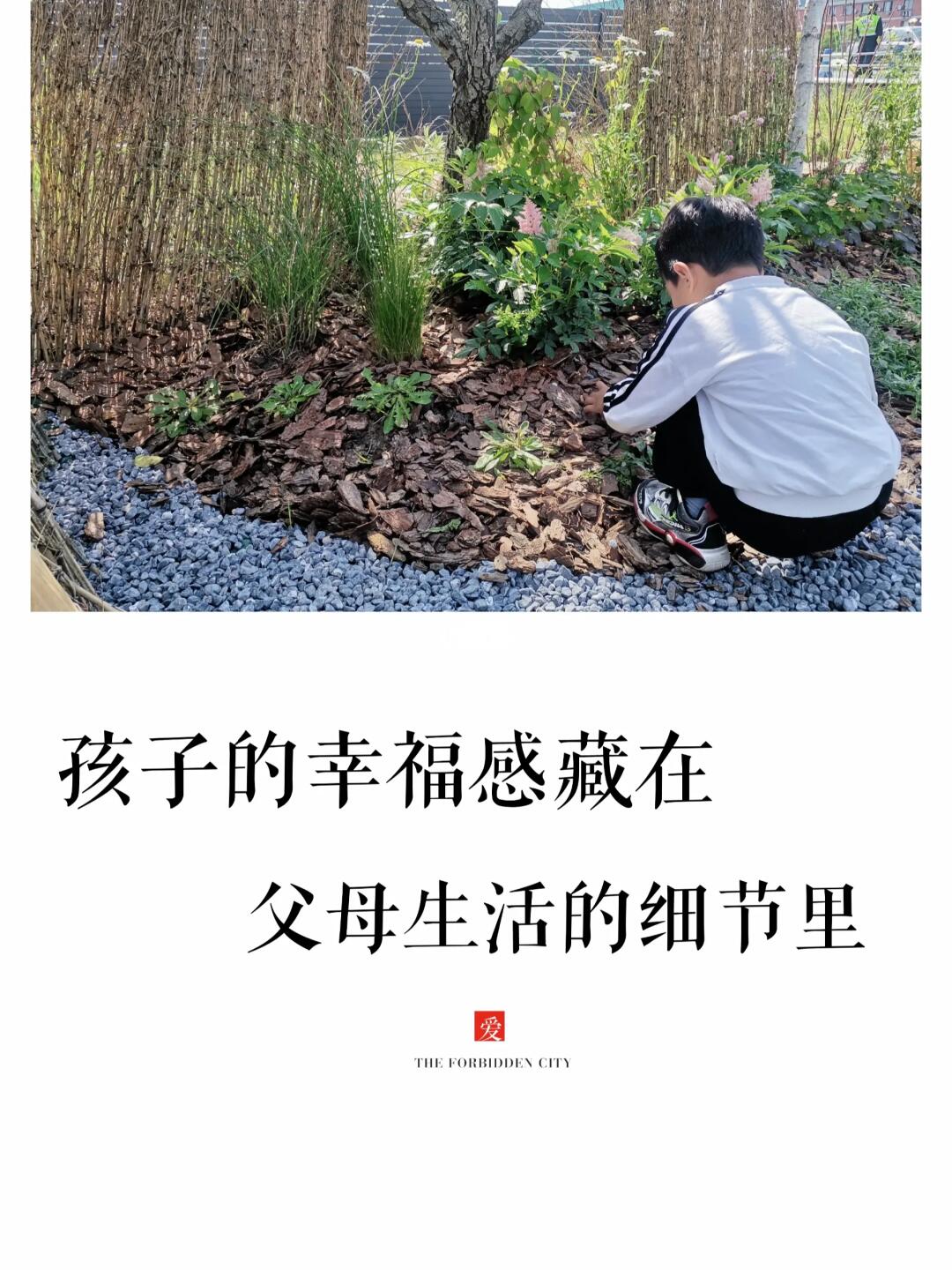 一口气看完了热播剧《我的阿勒泰》 不仅看到了草原之美 更看到了生活蕞好...