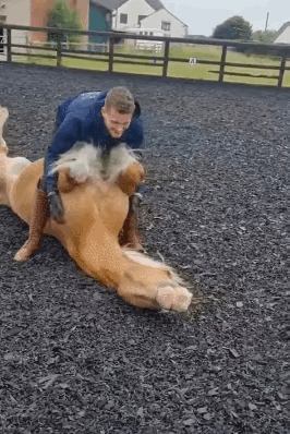 1：马儿也这么难养吗？还要特别的照顾？
2：只有看到最后，才知道结果是怎么样的。