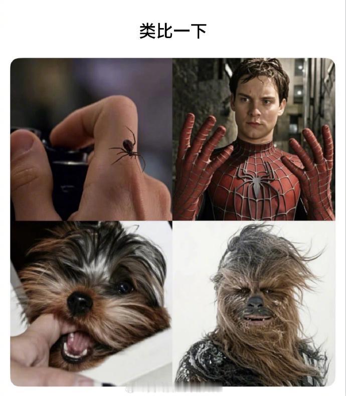 你想被什么咬？