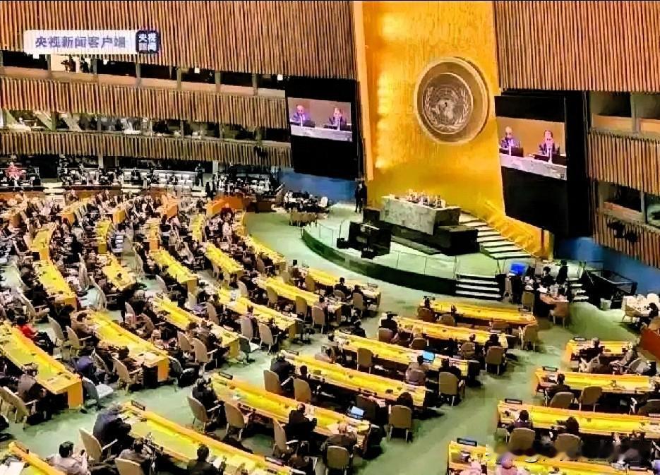 5国全票通过重磅决议！敢杀维和兵=战争罪，中国放出硬话绝不姑息
 
刷到这条消息