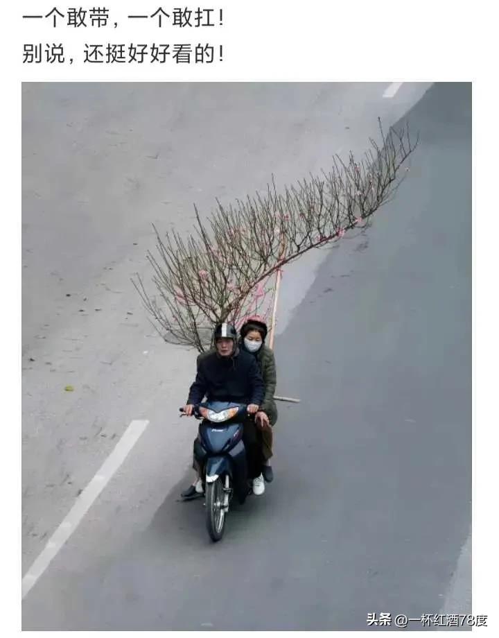 从这个行为就可以看出，两个人肯定有着相同的爱好，只是因为太喜欢，才会把街边的绿植