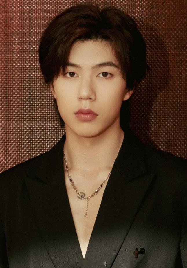 金像奖提名李哲坤提名金像奖最佳新演员「捕风追影」里饰演仔仔的内地男演员李哲坤提名