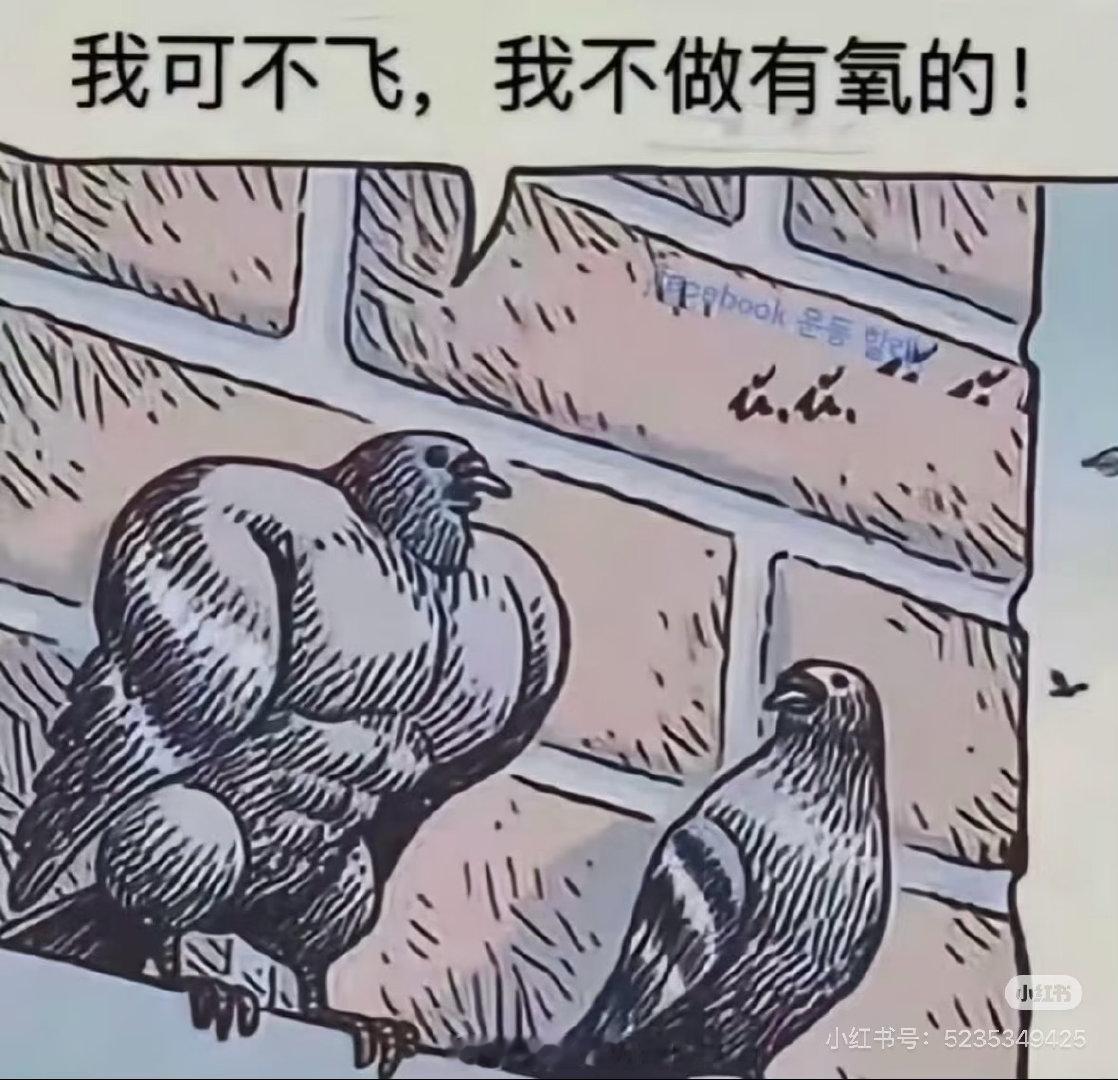 我和健身教练的日常 都怪我，看到好玩的健身梗图就想发给教练，换来的是无尽的伤害（