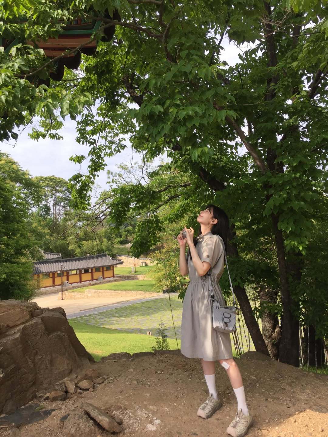 郑素敏 ins更新 