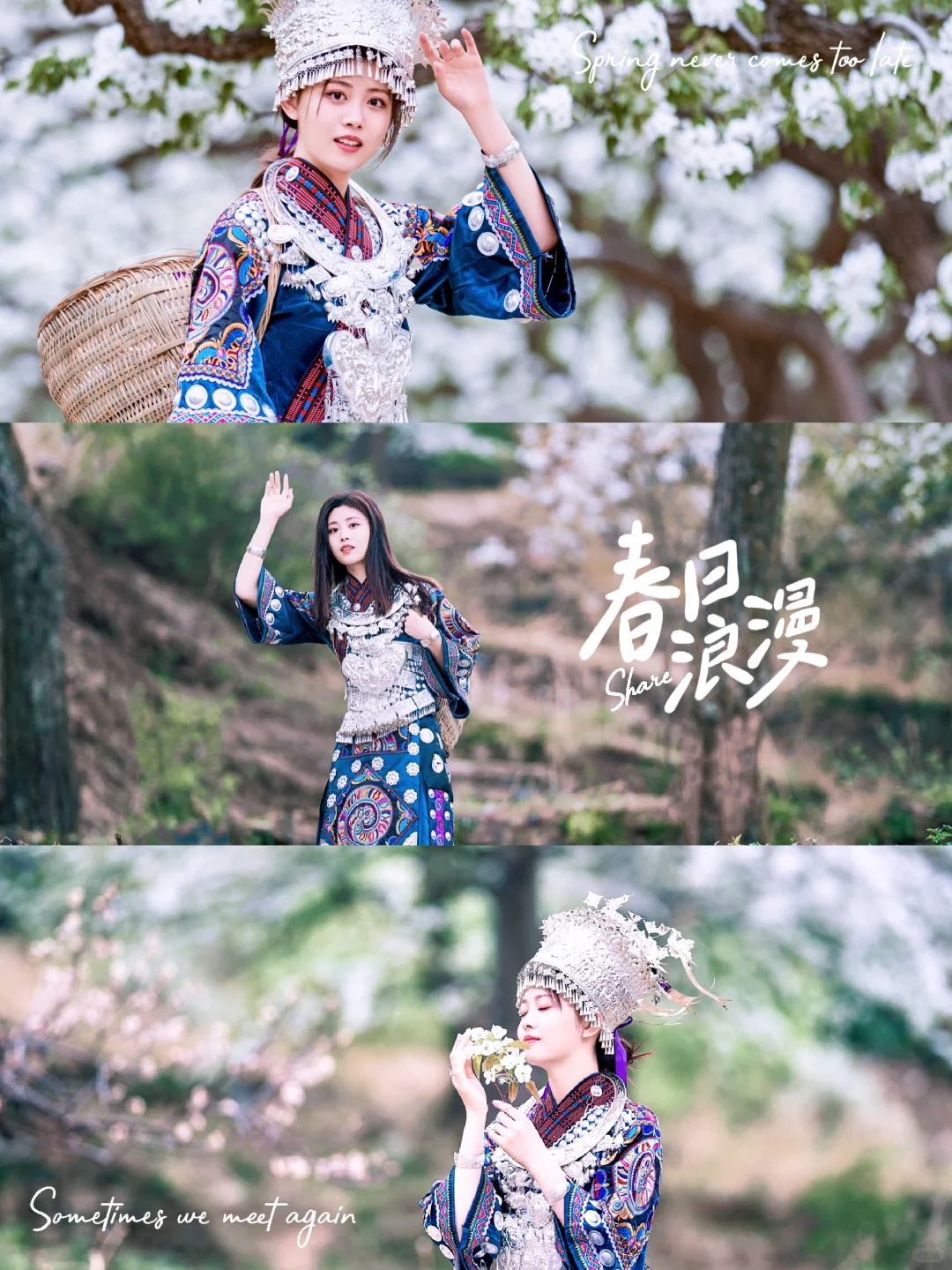 与春🍃相约，与花🌸相悦｜梨花人像