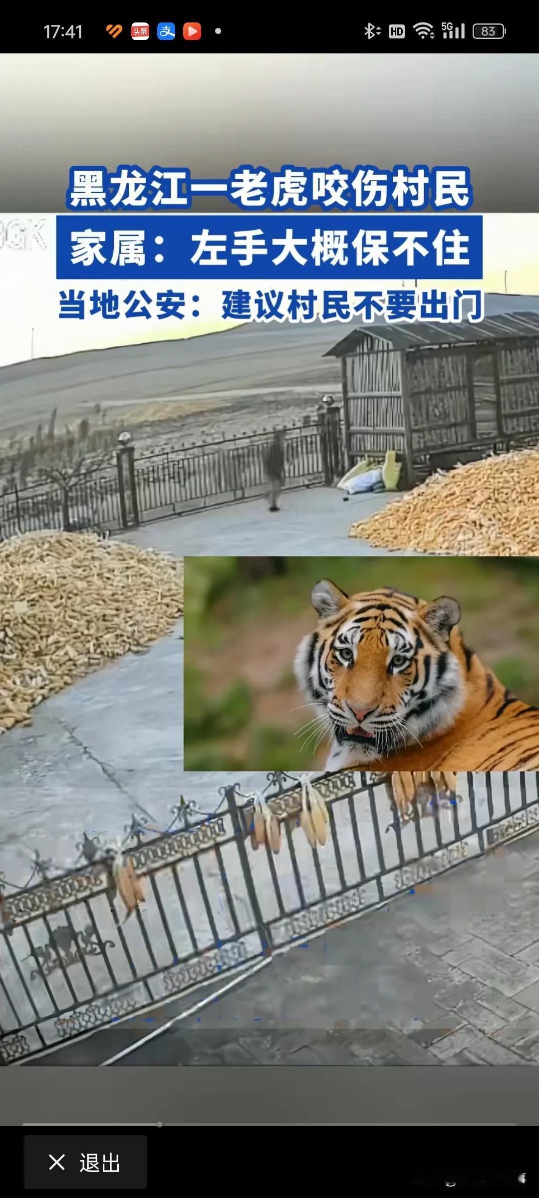 这几年不得不说，生态环境变好了。
先是野猪出来闹事，野猪闹闹事，还好办。
把它从
