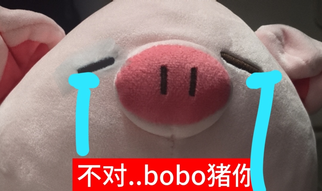 所有人严肃观看 