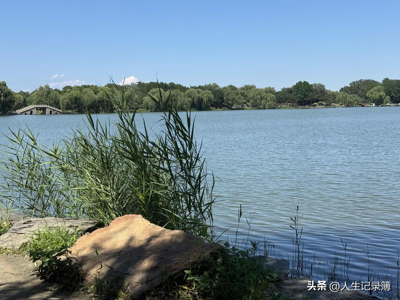 吃海鲜把肾吃坏了。
老家一个亲戚的小孩，刚三岁就生病住院了。
听孩子姥姥说是吃海
