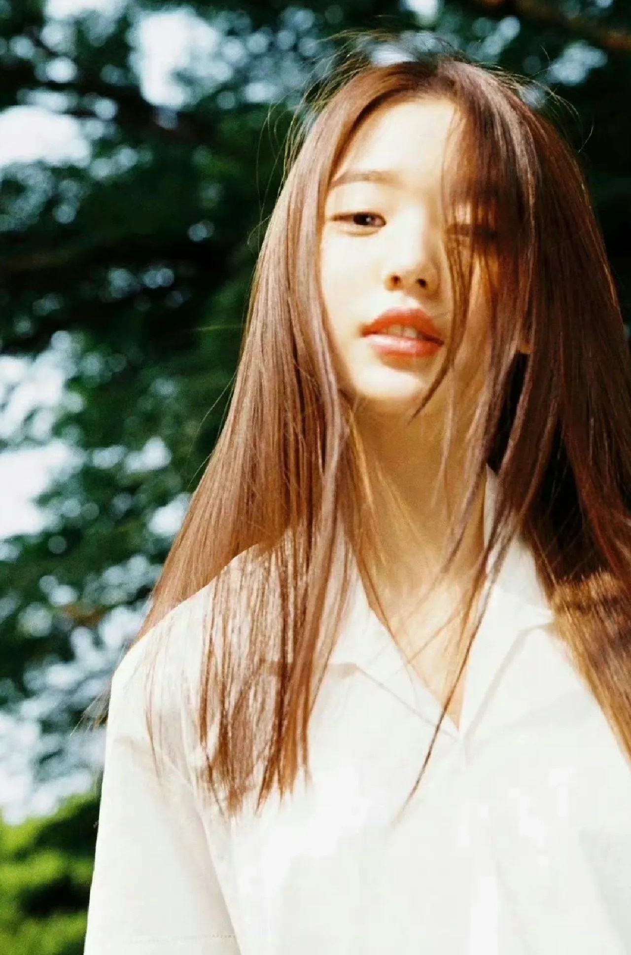 投稿张元英学姐构造了我青春岁月所有美好的回忆 