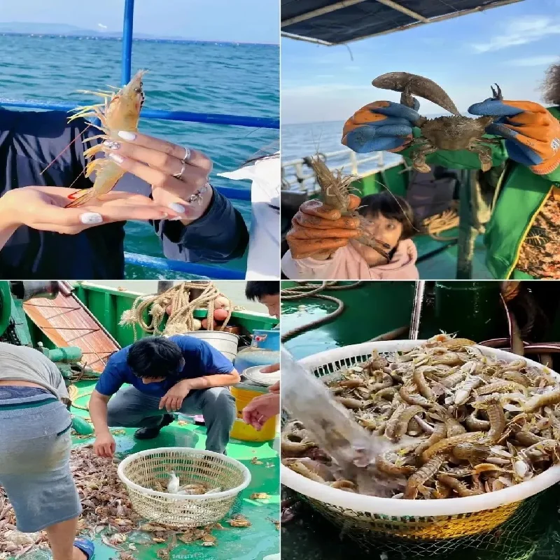 渤海湾包船出海｜自己捞的海鲜也太鲜了🦞