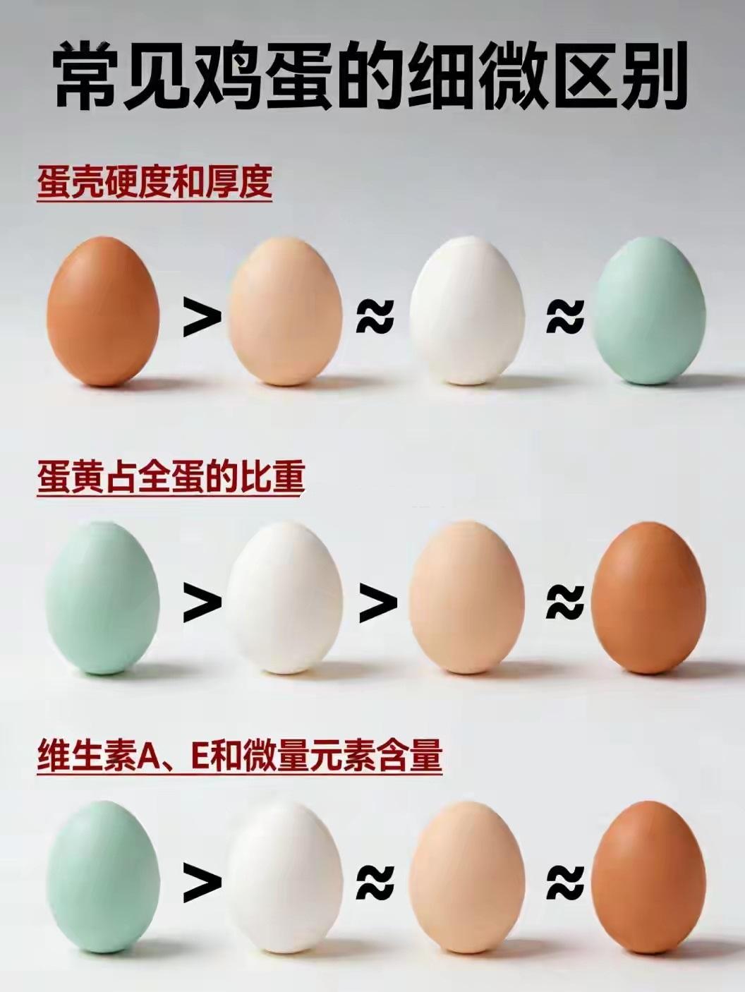 不同鸡蛋那些细微的差别...