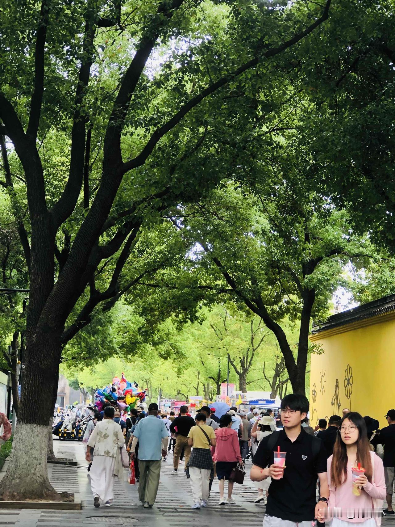 善良给你带来了什么人要有一颗善良的心，善良是发自内心的，不是装出来的。善良看似吃