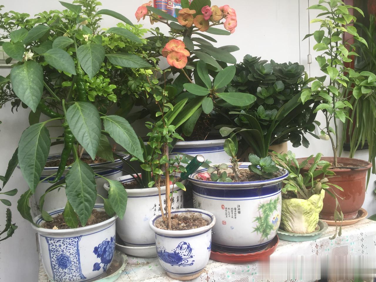 人生不管大事小事，想开就不是个事
        
        人这辈子，啥