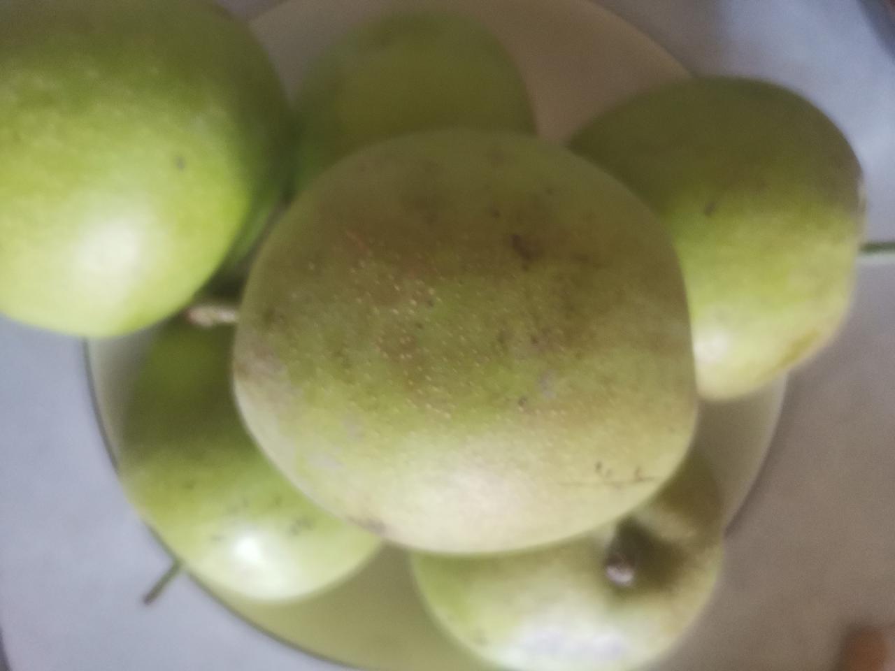 别人送给我妈家大半筐梨子，贴心的用水果大框子送来的。

我妈用塑料袋给我装了十几