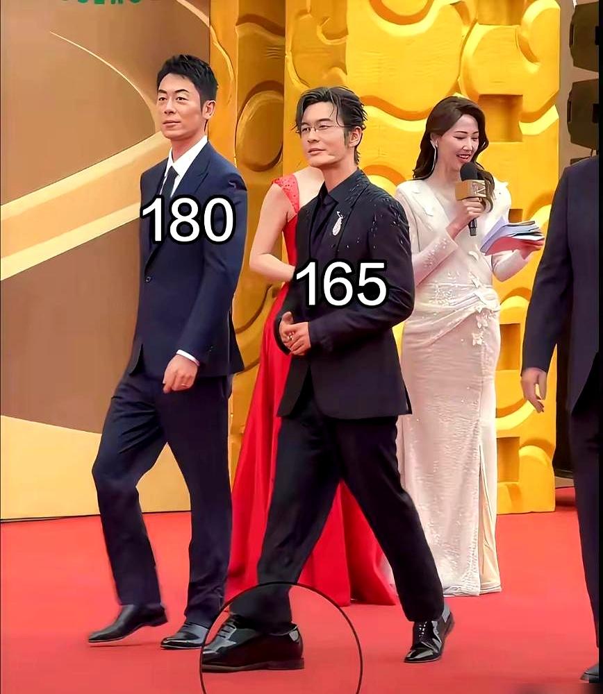 娱乐圈的名利场里，几厘米的身高差真的能压死人。
 

2017年《我们的挑战》里