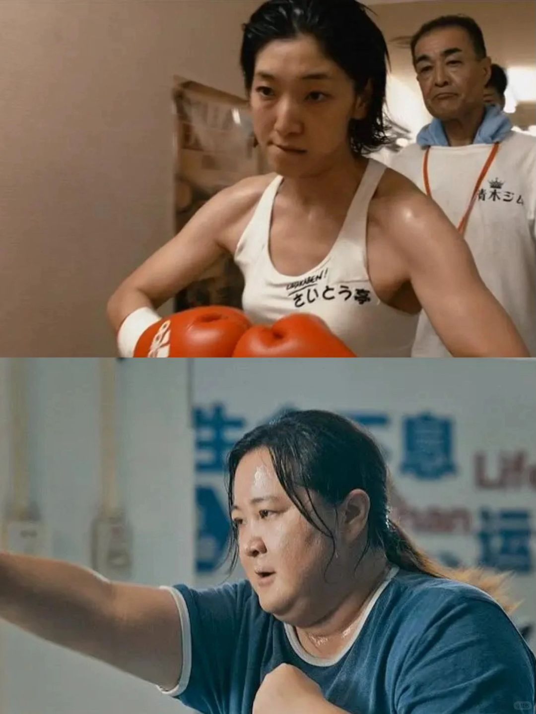 感动！《百元之恋》安藤樱谈《热辣滚烫》的贾玲！