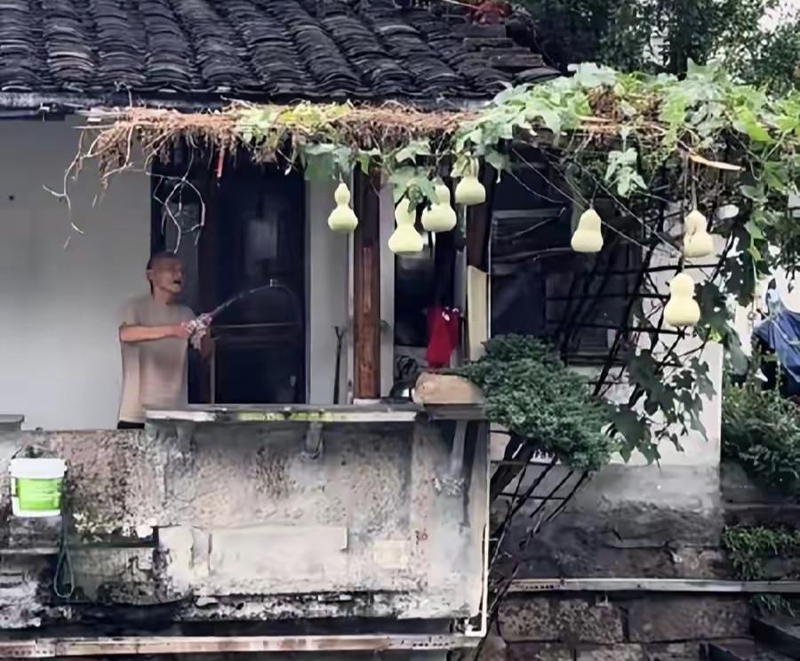 人民日报锐评“葫芦娃爷爷”，拨开流量乱象，为浮躁时代敲响警钟
人民日报锐评“葫芦