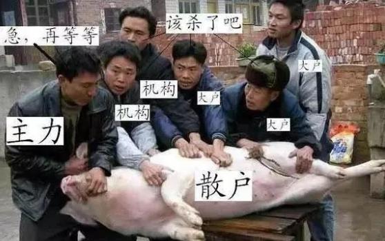 一位经济学者说：眼下A股的处境。机构和散户都把自己逼上了绝路，机构拉高了股价却出