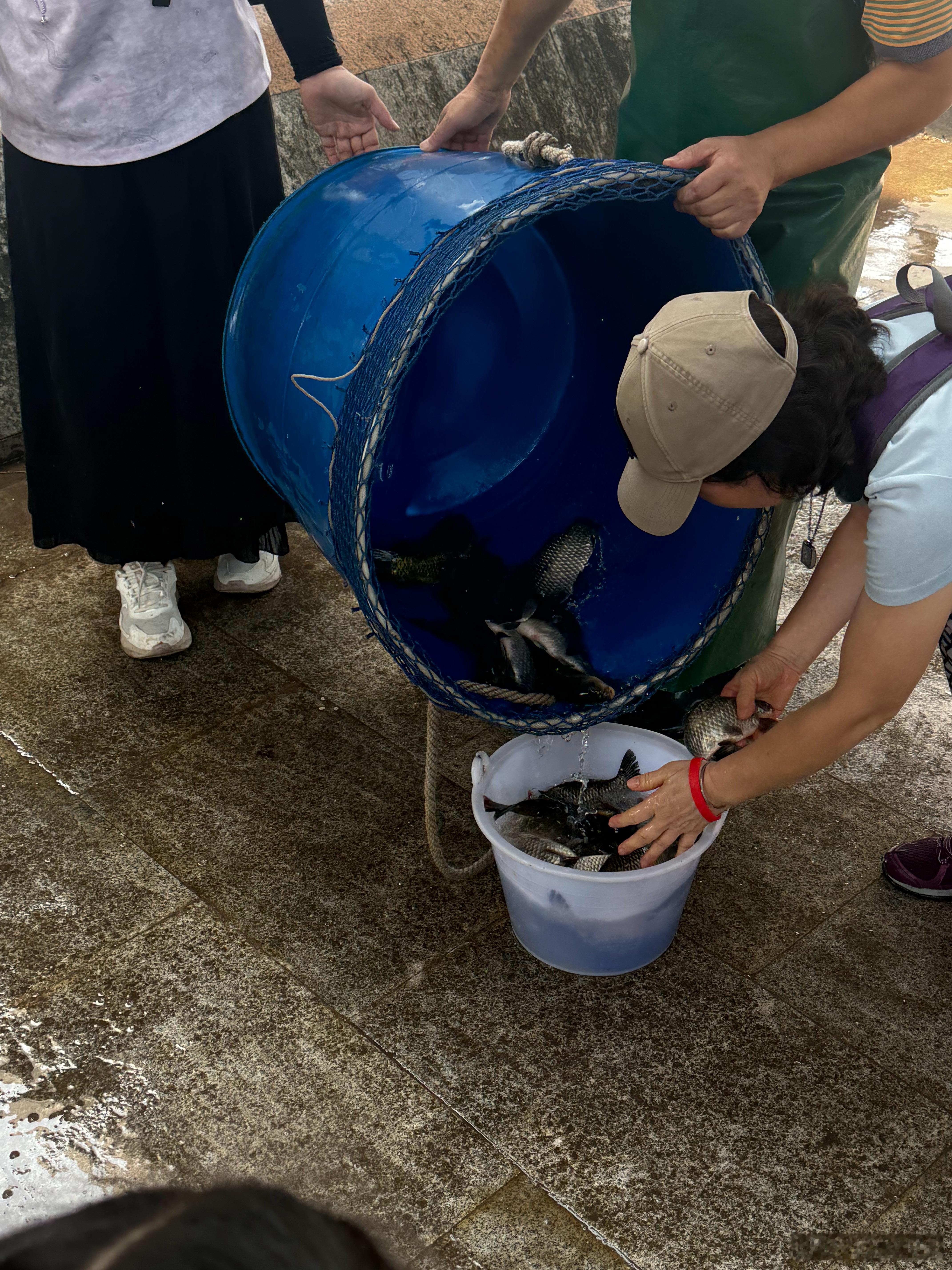 前面在放生，后面在钓鱼，500米内实现生态闭环！ 