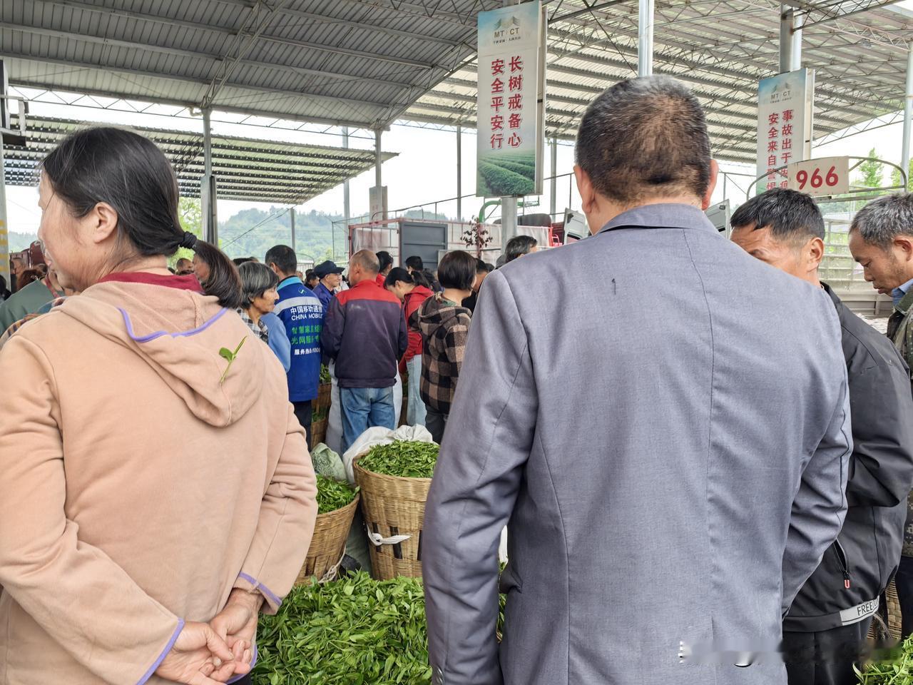 小时候我妈经常说:张家的张奶奶、王家的王奶奶，叫亖了又不会让你拿一个板板来埋。