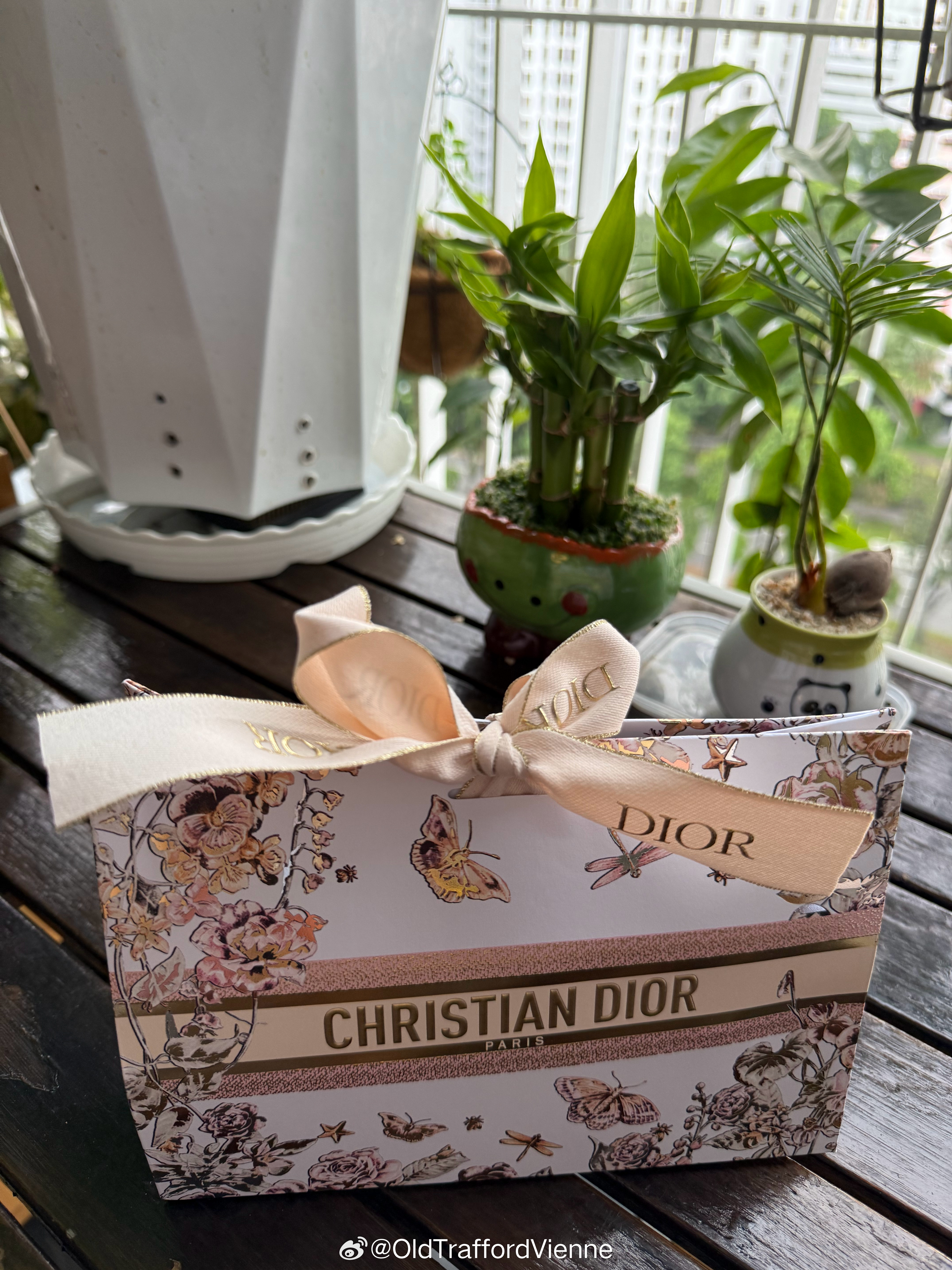 嘿嘿很喜欢用嘿嘿这两个字