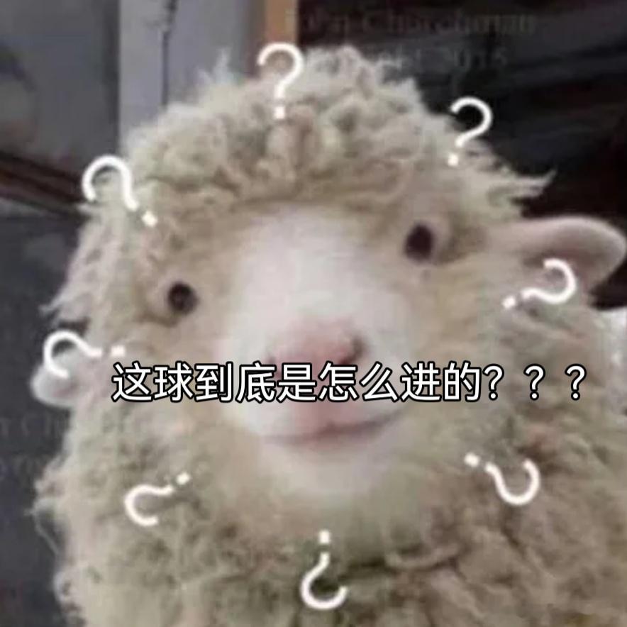 美加墨你以为的加是哪个加 裁判亮红牌我淡定围观，半点不慌张。深夜馋意来袭，Lab