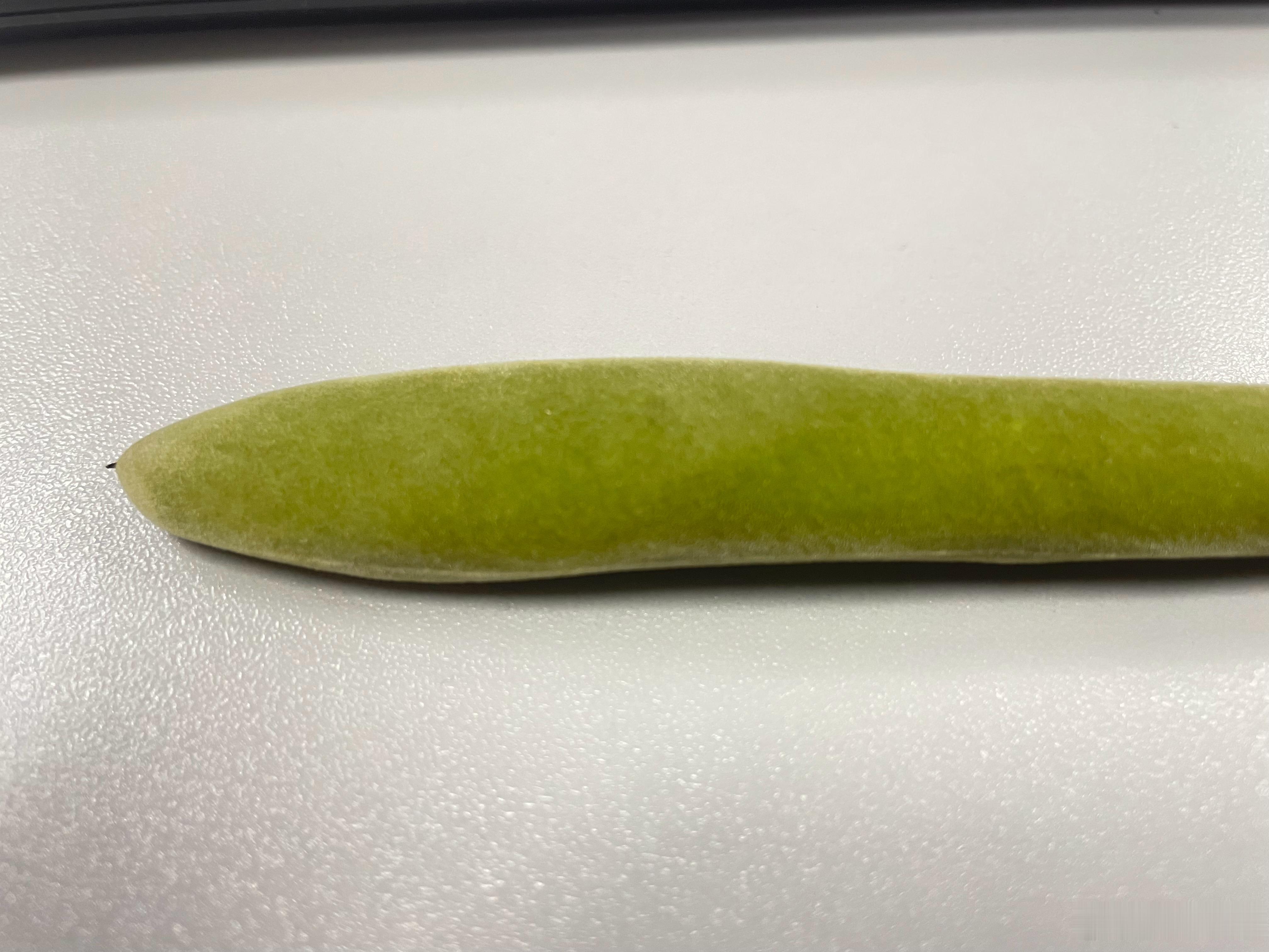 这豆荚的绒毛手感真不错