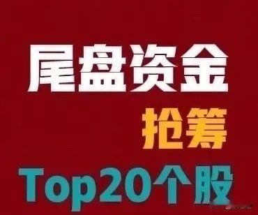 1. 2026年9月23日，尾盘最后半小时，资金往哪些票里进？我按净流入前20简