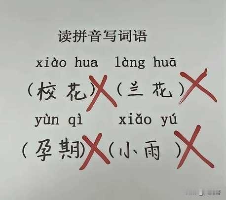 拼音学到这个程度，可能真不是念书的料！