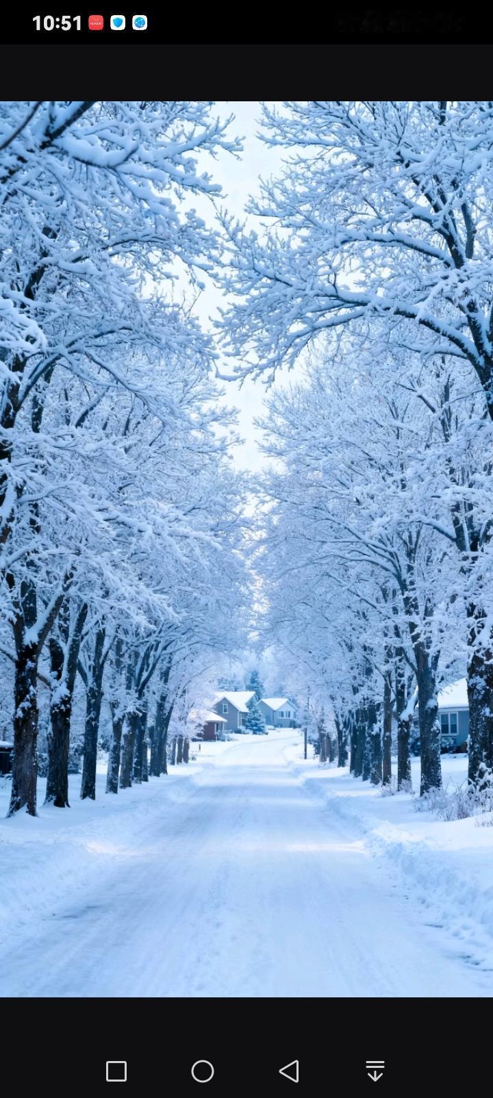 一场雪落下，世界便成了童话。
笔直的雪路被琼枝玉树温柔相拥，每一片雪花都在枝头绽