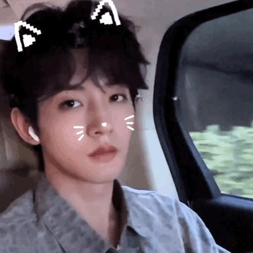 网传虞书欣邓为主演神仙肉又在拿我们邓为热饼吧，只认邓为正式的官宣，邓为演什么看什