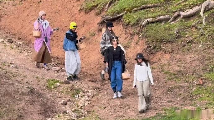 李宇春辛芷蕾高叶倪妮采蘑菇路透李宇春辛芷蕾高叶倪妮上山采蘑菇向野的我们一路自驾一