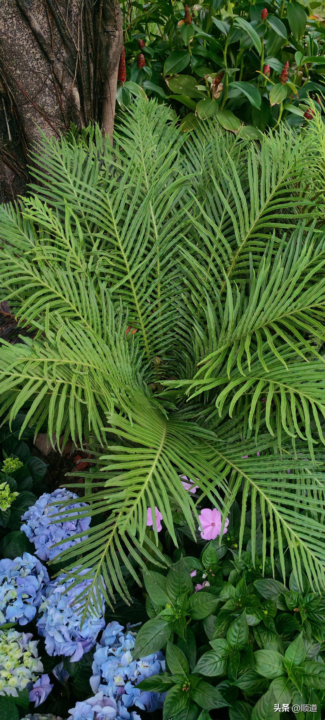 31岁女孩儿是个孤儿，有先天性心脏病，父亲车祸赔了170万。交了一个男朋友27岁