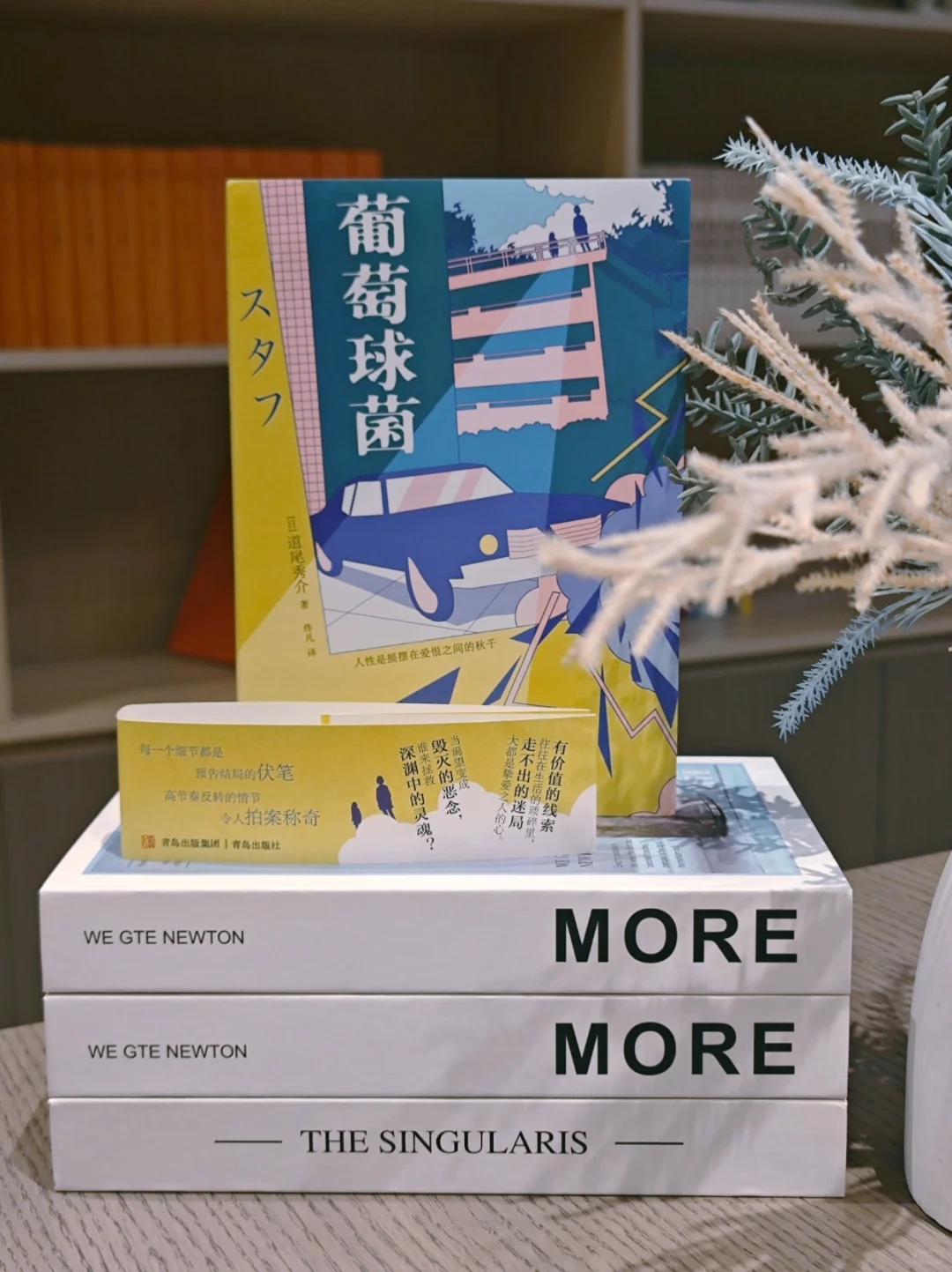我就知道！道尾秀介的反转不会让我失望的～