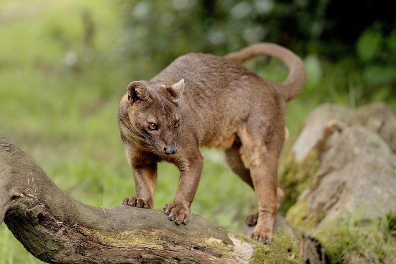 在这世上，最难买到的东西还真不少。真心的偏爱算一个，它不是权衡利弊后的选择，而是