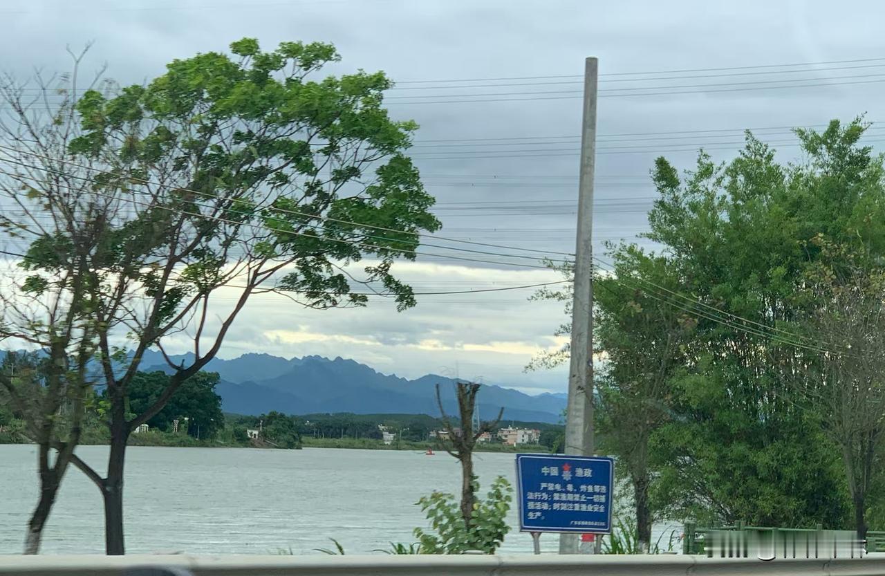 我姥姥活着的时候给我们讲过一个故事

她说我们这里有个金鸡岭，天马上快黑的时候有