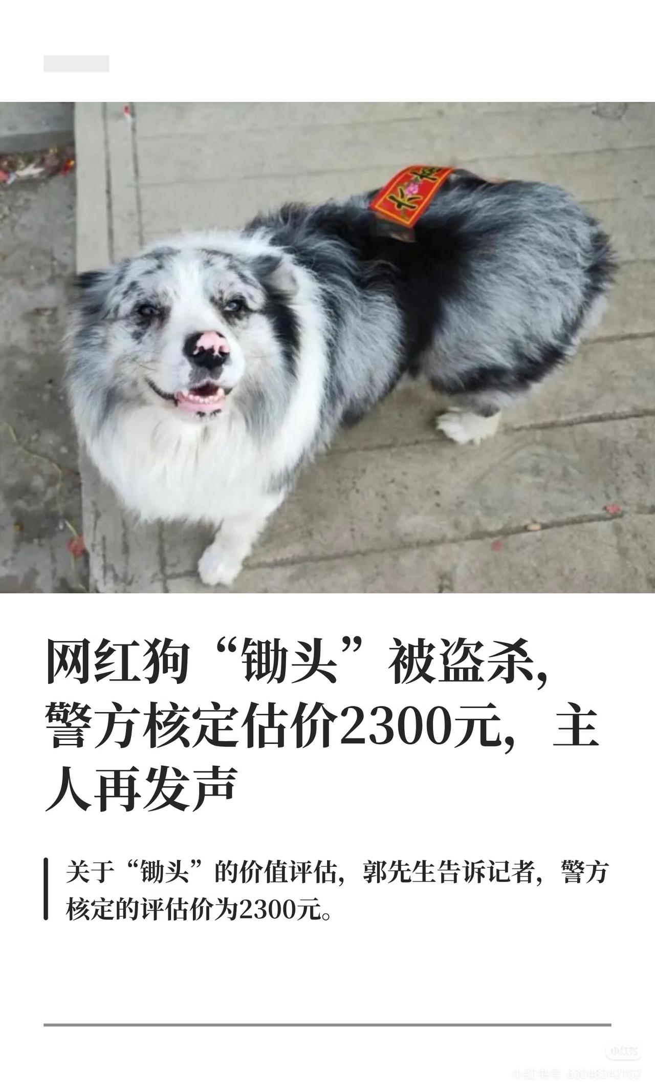 你支持对偷狗贼加重处罚吗流浪狗没人管伤人，狗主人没有管好，让狗流浪。这个是否算是