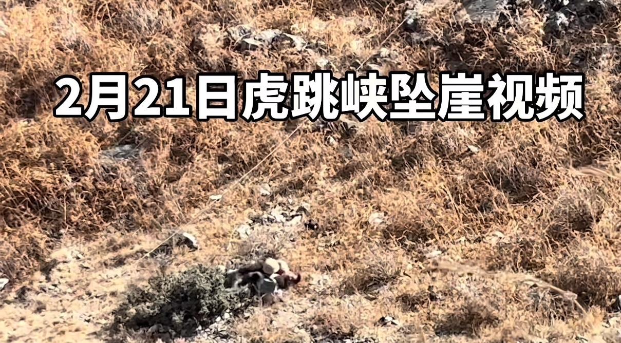 痛心！8岁男童虎跳峡未开放区域坠崖遇难。

2月21日大年初五，云南迪庆虎跳峡一