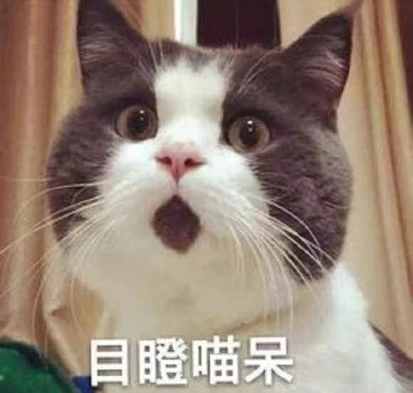 #每日一善#11🈷️8日带v评可直关，当天不吞必hui 掉铁的好友评论下 必回