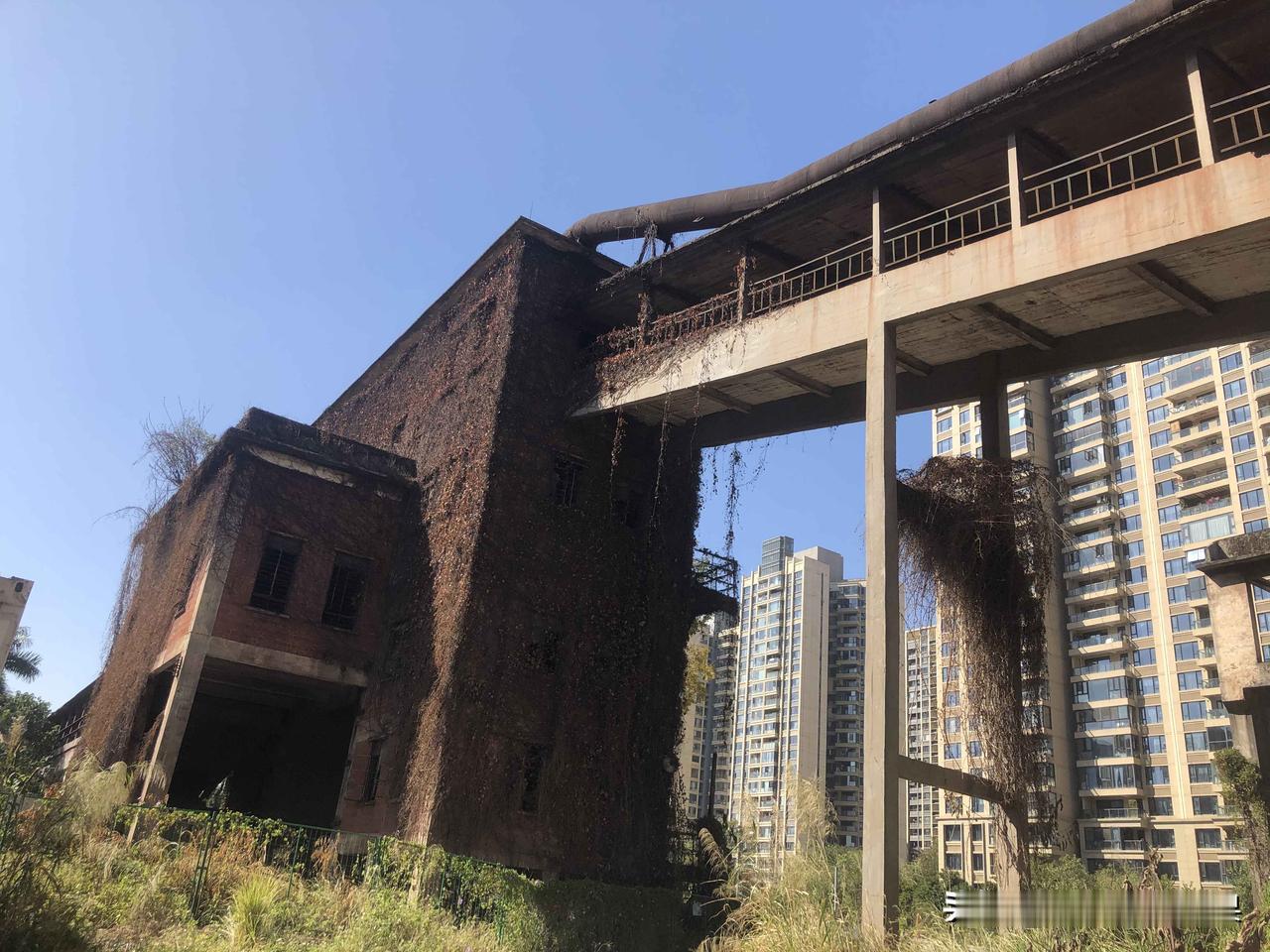 原来广钢厂为什么境界越高的人越简单?