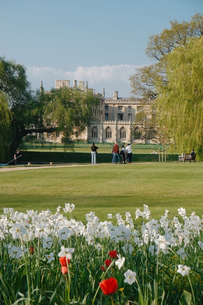 你想当个成年人，但你的身体里还躲着一个孤独惊恐的孩子。｜丹尼尔·凯斯 ​​​