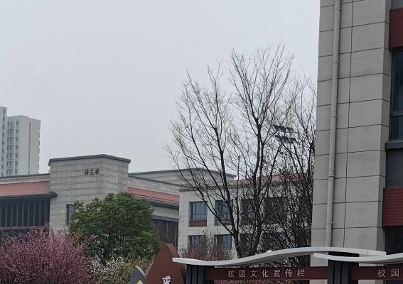同学组织的聚会该不该去参加?按理讲 是应该去，但是形式不能变味，有级别的，有财富
