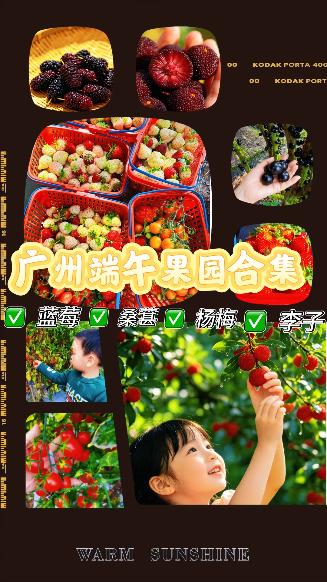 端午限定水果园❗7区20个摘果子攻略