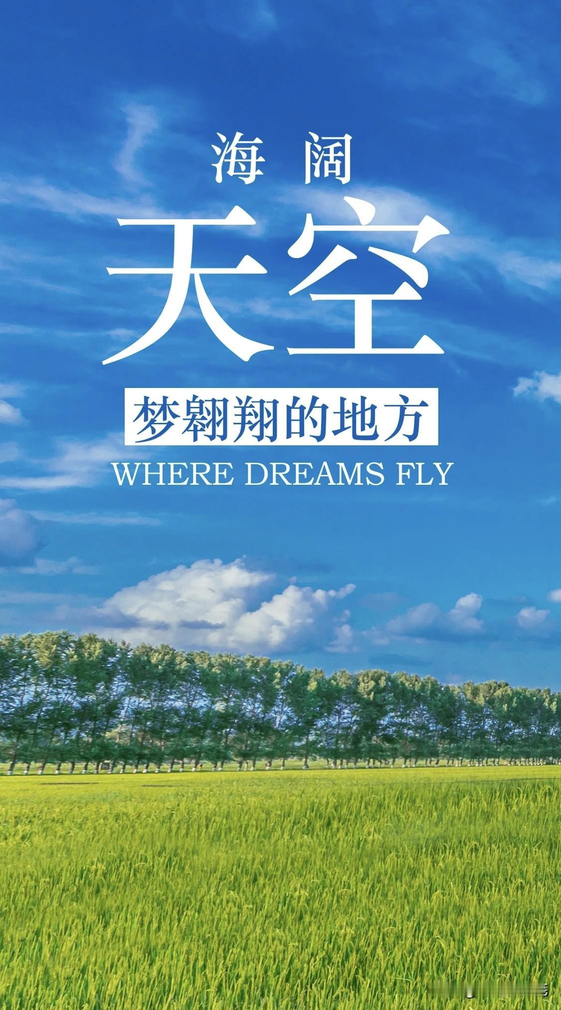 今天早上去骑自行车。清早的城市还裹着薄雾，像被一层纱幔轻轻笼罩，静谧又迷人。
路